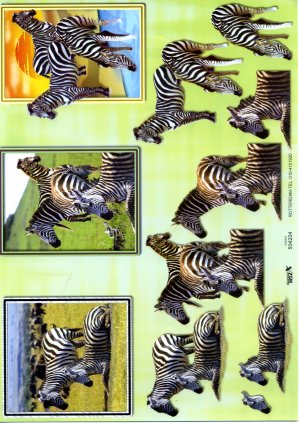 A4 Decoupage Sheet - Zebras (504204)